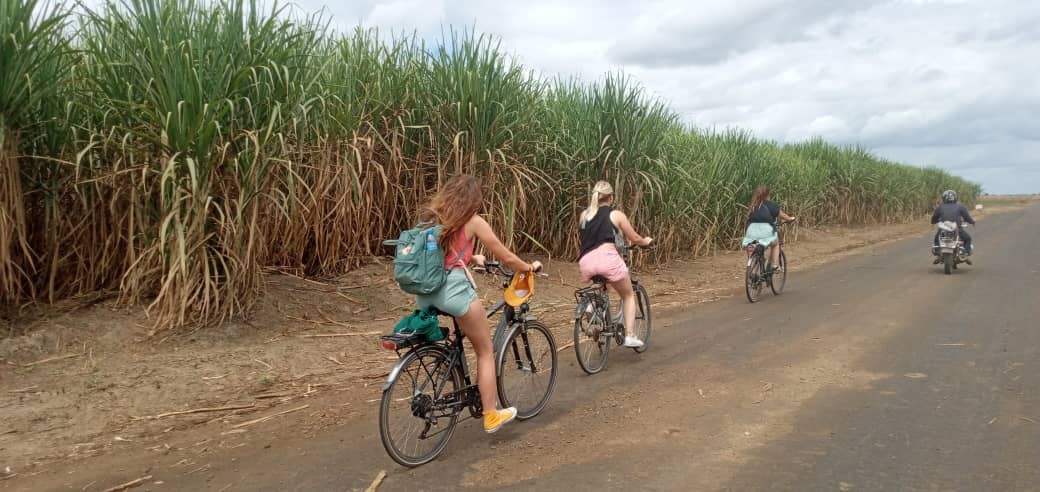 Cycling 5